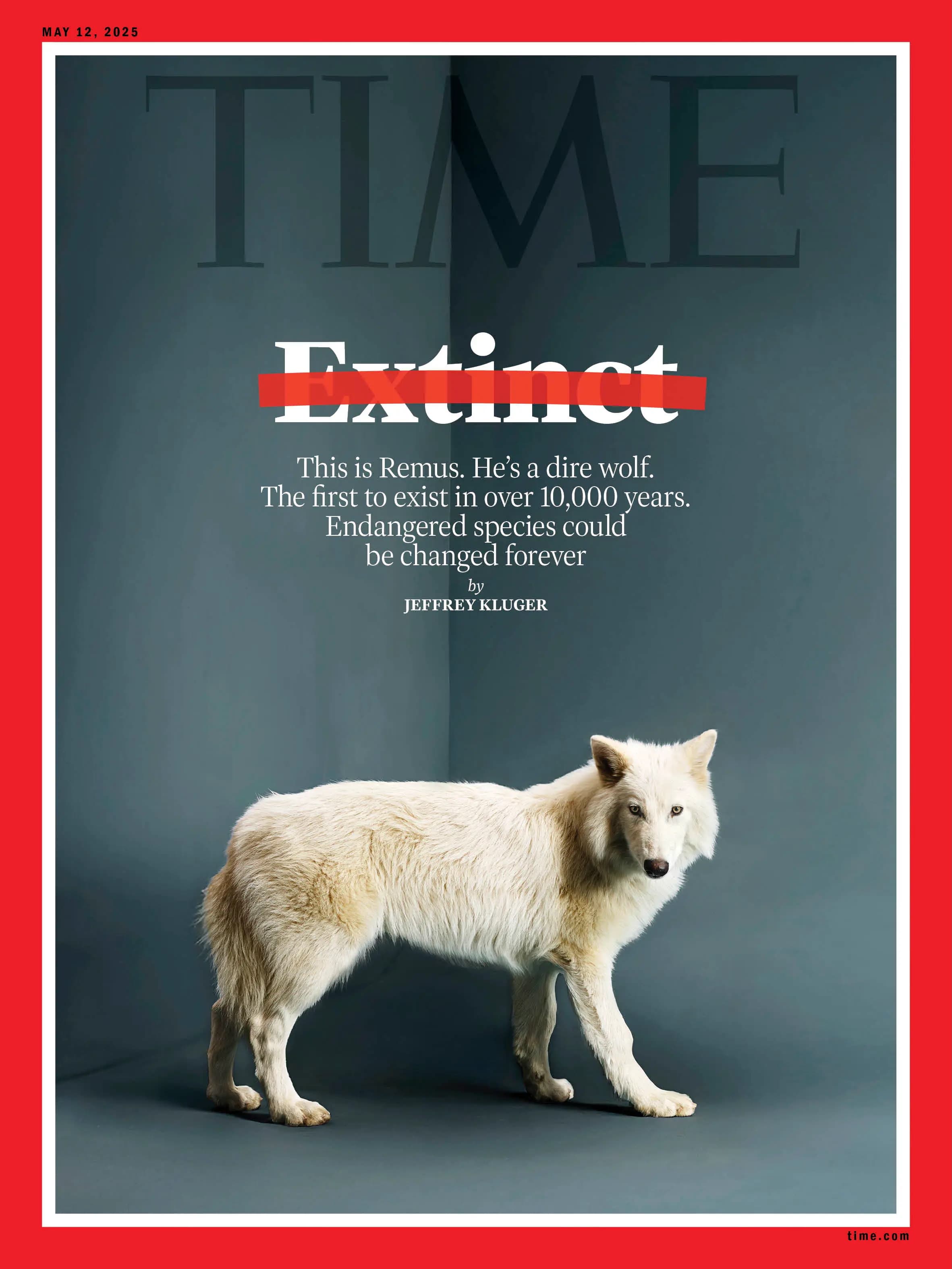 TIME magazine cover retouching — high-end editorial campaign retouching by Look & Seen